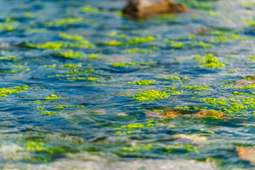 Sun and waves at black sea,Olimp,Romania