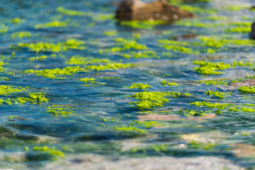 Black sea at Olimp,Romania © somra