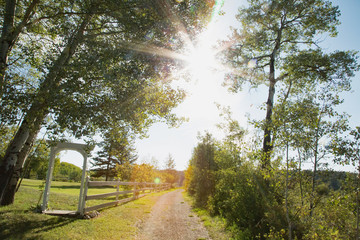 sunny country path 