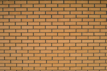 Fototapeta premium Texture brick wall