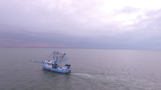 Aerial view of a shrimp boat trawling in open water in the Atlantic ocean, dragging its nets while seagulls fly around.