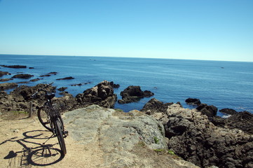 le croisic-cote sauvage