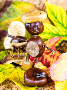 Herbstzeit