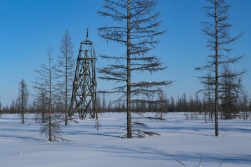 Wooden triangulation tower in a snowy forest. Yakutia, Russia.