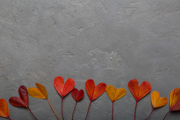 Colorful autumn leaves cut out hearts, symbolizing love, family, friendship. Top view with copy space