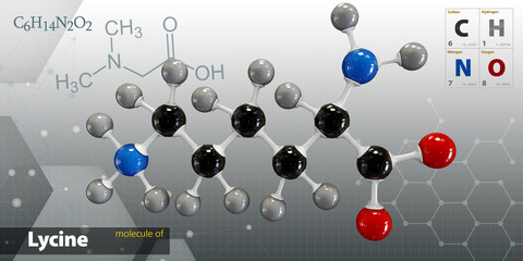 Illustration of Lycine Molecule isolated gray background