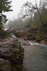 Mountain Pine Ridge Reserve, Stream