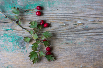 Hawberries on the desk