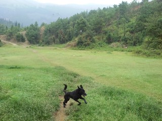 her most beautiful jump © Bruno