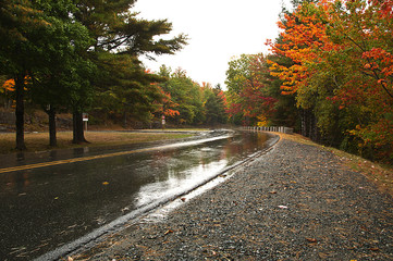 Foliage road