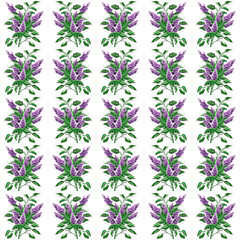 Image pattern. Color bouquet of flowers (bloom of lilacs) using traditional Ukrainian embroidery elements.Seamless pattern.