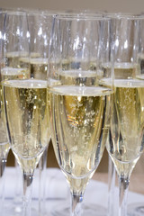 Sekt