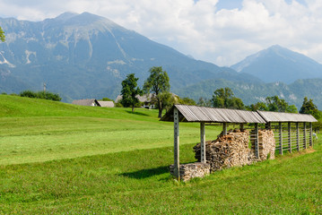 Beautiful green field on a background of mountains near the village of Bled, Slovenia.