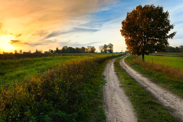 Autumn landscape with country road and red tree. Masuria, Poland.