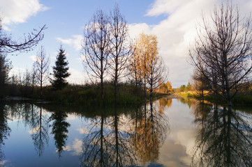 Beautiful autumn in the forestwith reflection of pines in an open bog and ripples in the water.
