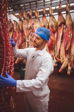 Butcher hanging red meat in storage room
