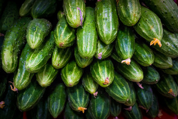 fresh green cucumber  on market