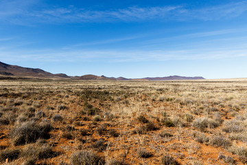 Flat yellow fields with mountains and blue sky