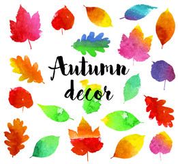 Obraz premium Autumn watercolor leaves