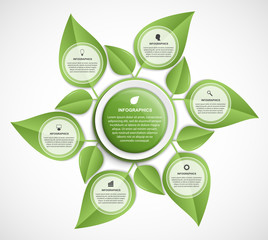 Abstract nature infographic. Colorful leaves. Vector illustration.