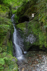 Edelfrauengrab-Wasserfälle; Schwarzwald, Sommer