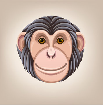 monkey head avatar Chinese zodiac icon White background illustration good round vector