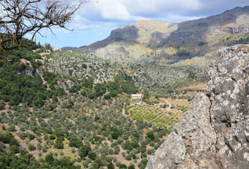 Fototapeta na wymiar Serra de Tramuntana auf Mallorca
