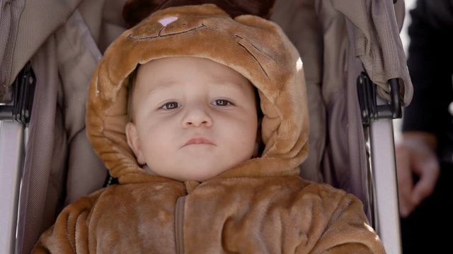 Baby in costume lies in the  carriage in the park.