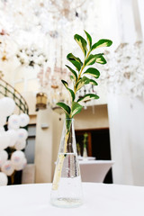 Branch with green leaves in glass bottle on white table. Wedding decorations. 