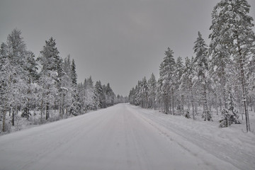 Road in Finland after snow blizzard