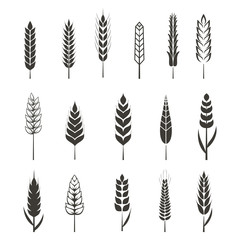 Set of simple wheat ears icons and design elements for beer, organic local farm fresh food, bakery themed design, wheat grain. Wheat vector