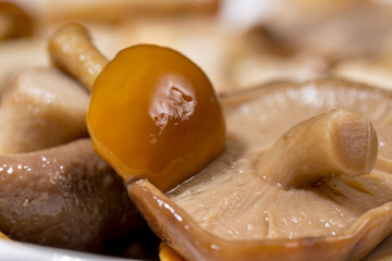Detail of delicious boiled mushrooms of different types, forms and sizes. Gourmet food