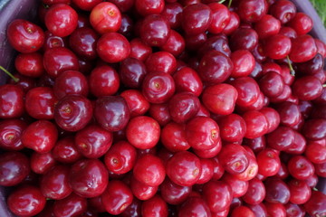 Red Cherries