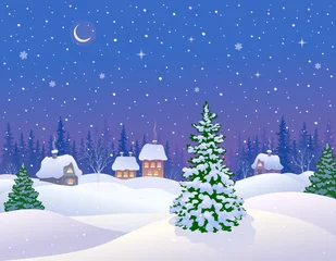 Foto op Plexiglas Winternacht landschap © Merggy