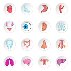 Human organ icons set. Cartoon illustration of 16 Human organ vector icons for web