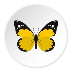 Detailed yellow butterfly icon. Flat illustration of butterfly vector icon for web design