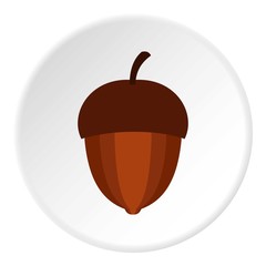 Acorn icon. Flat illustration of acorn vector icon for web