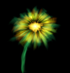 Abstract Glowing Flower Isolated on Black Background