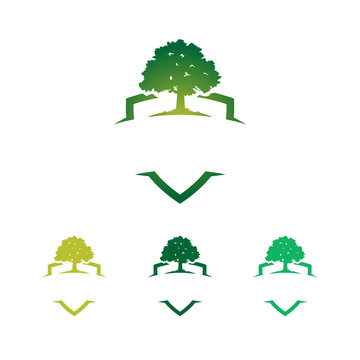 Green Strong Badge Shield Oak Tree Logo Template