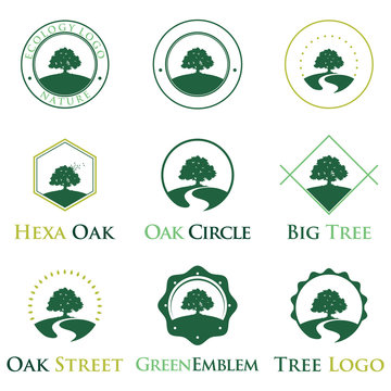 Elegant Green Ecology Oak Tree Logo Identity Bundle Set