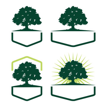 Hexagon Oak Tree Ecology Silhouette Logo Variation