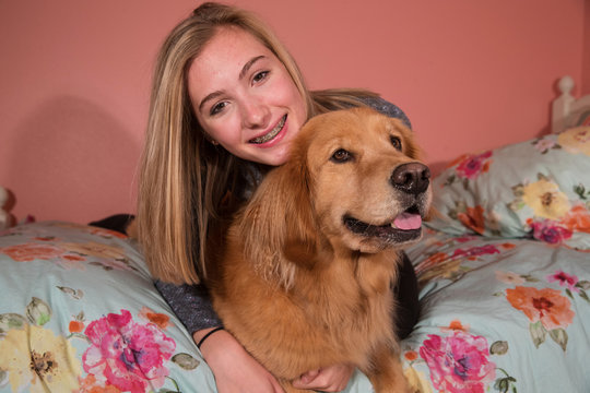 Golden retriever hotsell with braces