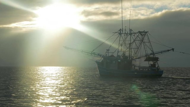 Shrimping trawler fishing just after sunrise with nets in the water.