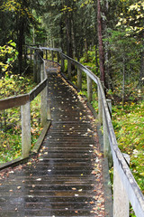 A wheelchair accessible hiking trail at Waskesiu in Prince Albert National Park, Saskatchewan,...