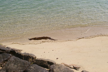 Beach in Okunoshima