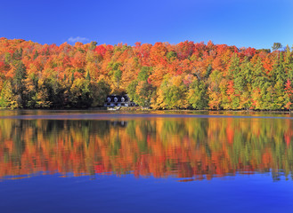 Autumn colors on the lake, Mont Tremblant area, Quebec, Canada