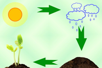 Plant Growing Cycle concept sun cloud soil plant