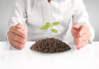 Concept of growing from plant in hand