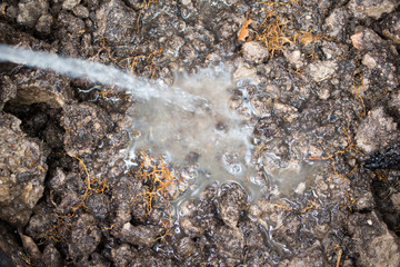 Soil water