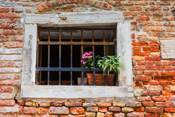 Fototapeta na wymiar Window in an old house decorated with flower